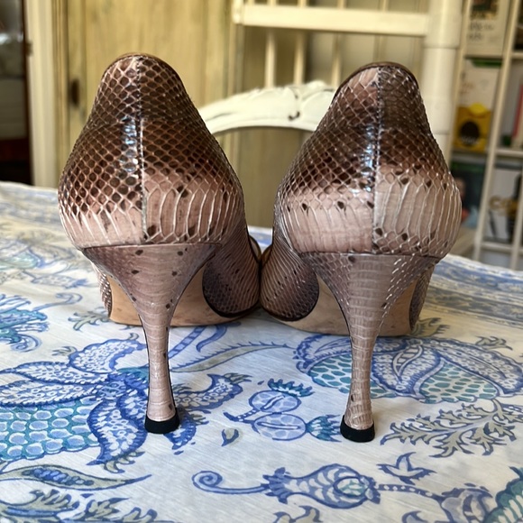 Python Manolos - Picture 5 of 11